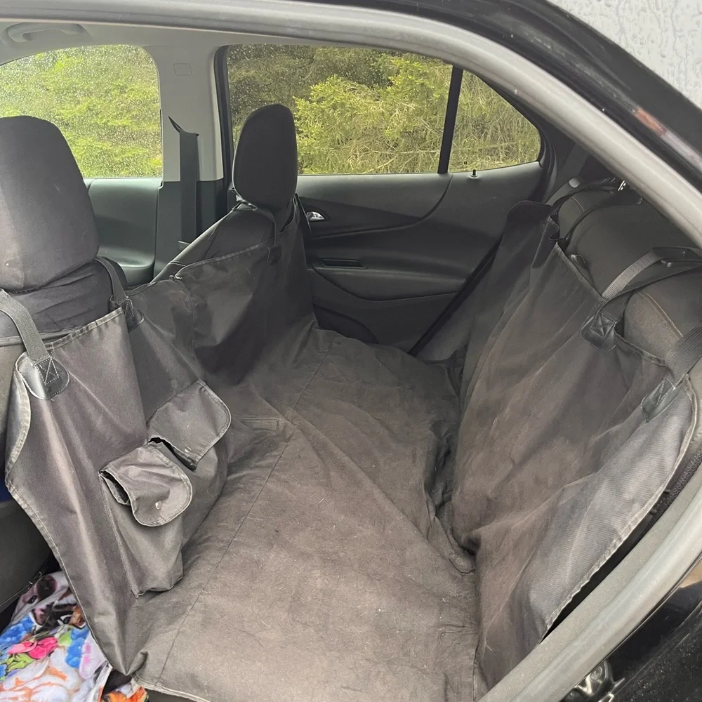 Car dog hammock
